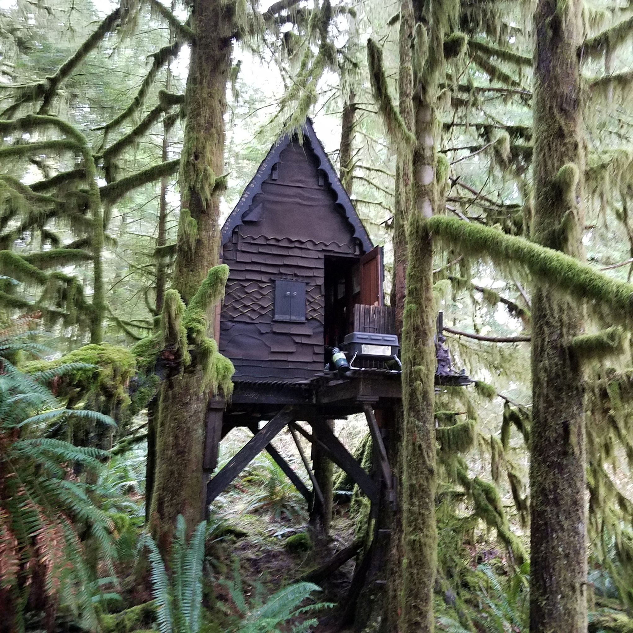 2040px x 2040px - 'This is now a crime scene': Trail steward recalls finding illegal  'gingerbread house' filled with child porn | The Seattle Times