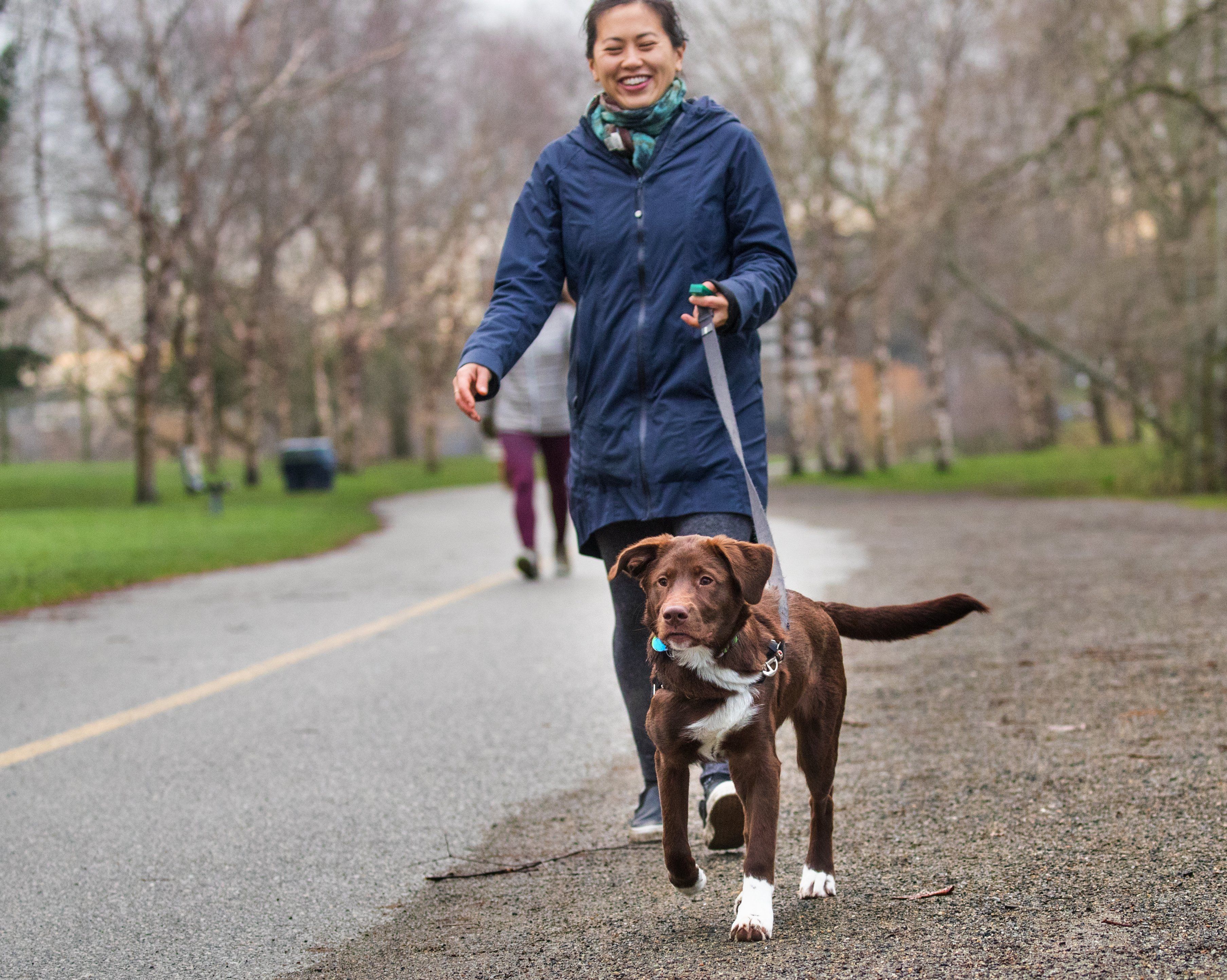 An energetic pet can motivate you to get outside, get moving — and