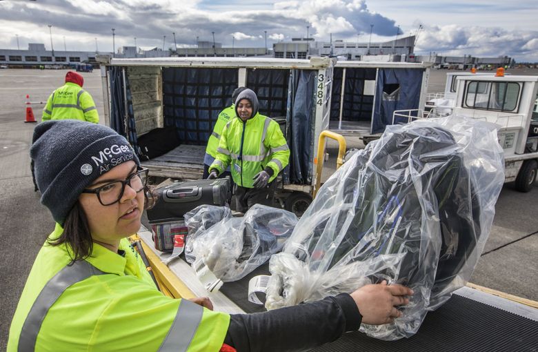McGee Air Services employee Brooklyn Hollar pushes luggage down a ramp to the waiting cart from a Virgin Airlines plane at Sea-Tac Airport. (Steve Ringman/The Seattle Times)