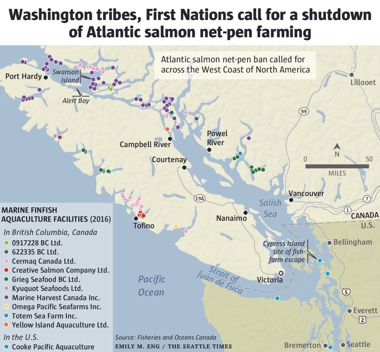 Wash. tribes, First Nations unite to end Atlantic salmon net-pen