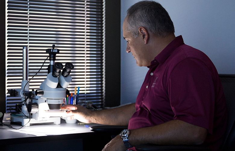 Alan Kreitl uses a microscope to examine a stamp, at Affiliated Forensic Laboratory in Phoenix. As a forensic document examiner in civil and criminal cases, Kreitl determines whether documents have been faked. (Caitlin O’Hara / New York Times)