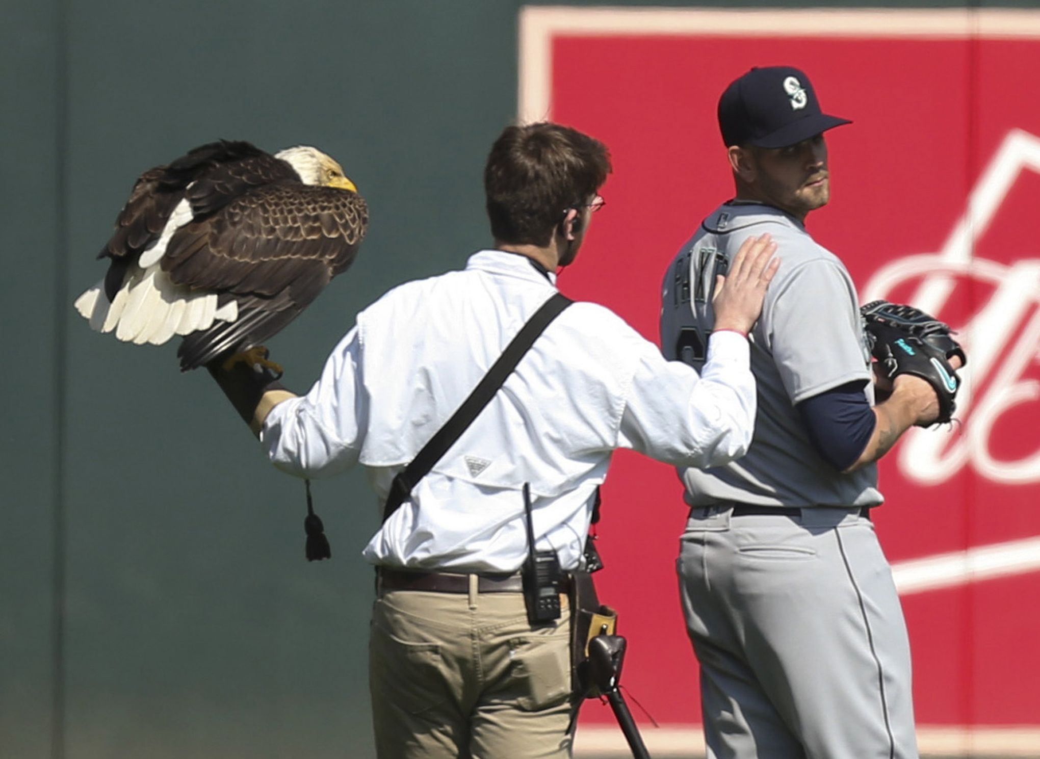 An eagle accidentally landed on Mariners pitcher James Paxton