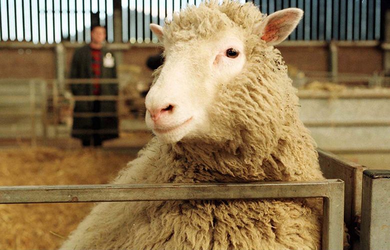 Scientist behind Dolly the cloned sheep, a key to Parkinson's