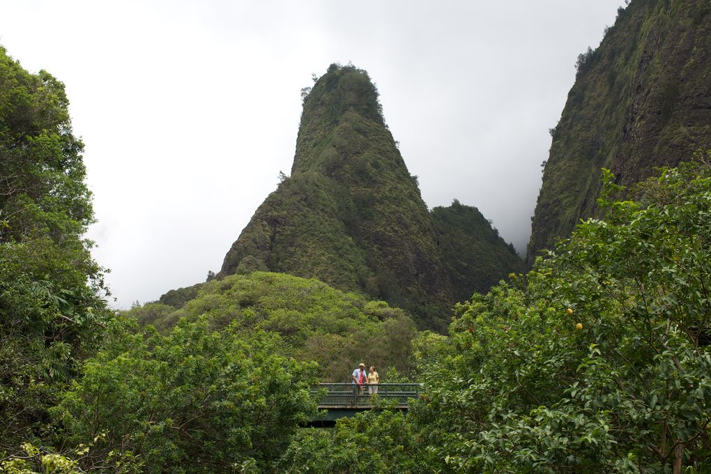 Iao Needle, west of Wailuku, is part of a moist, narrow valley in the center of West Maui. It’s a good place to become one with the rain. (Hawaii Tourism Authority / Max Wanger)