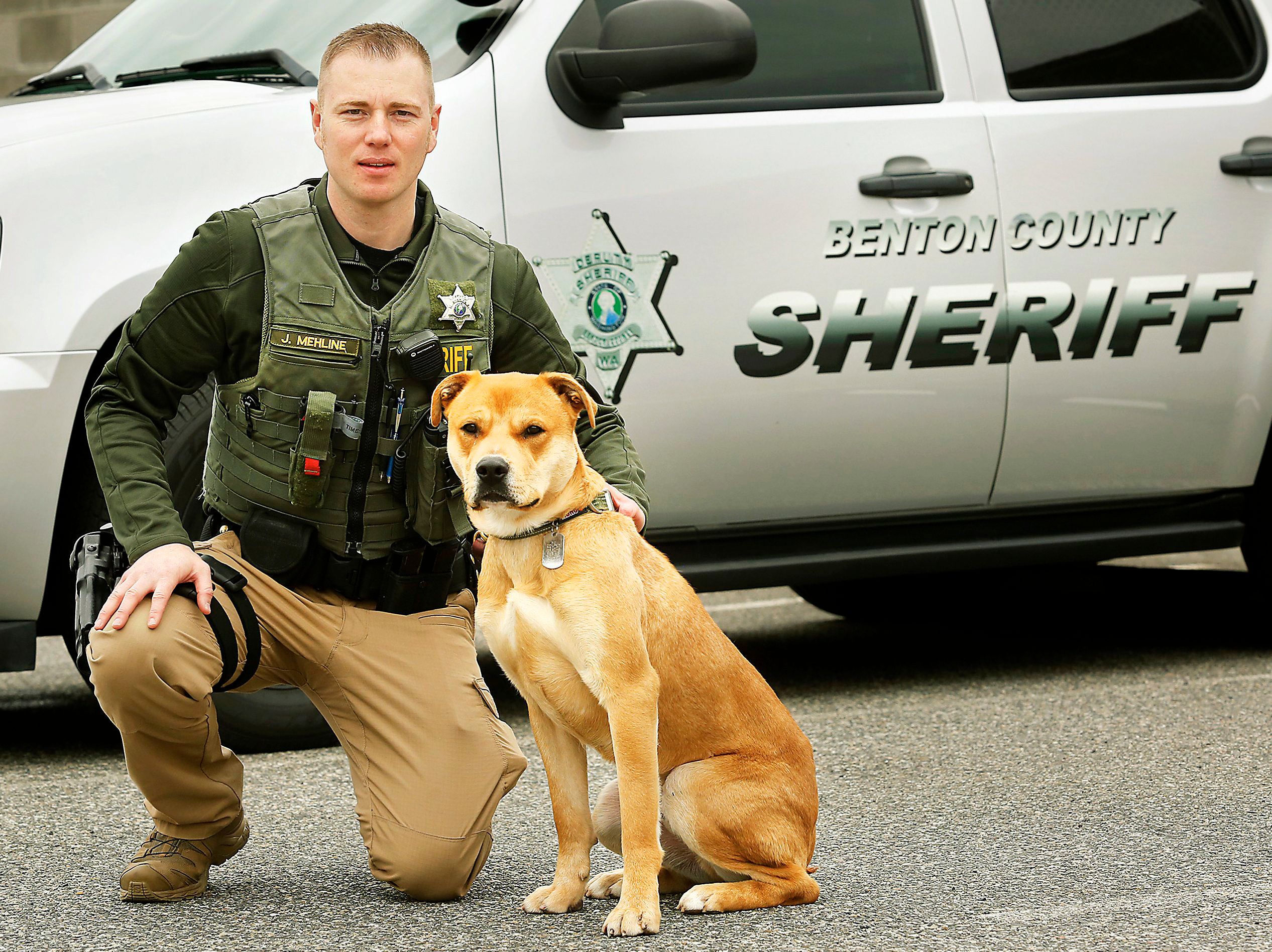 Benton county animal store shelter