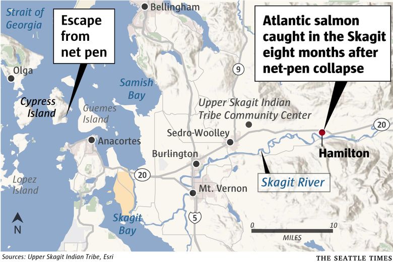 Overheating rivers threatening Newfoundland's wild Atlantic salmon - The  Globe and Mail