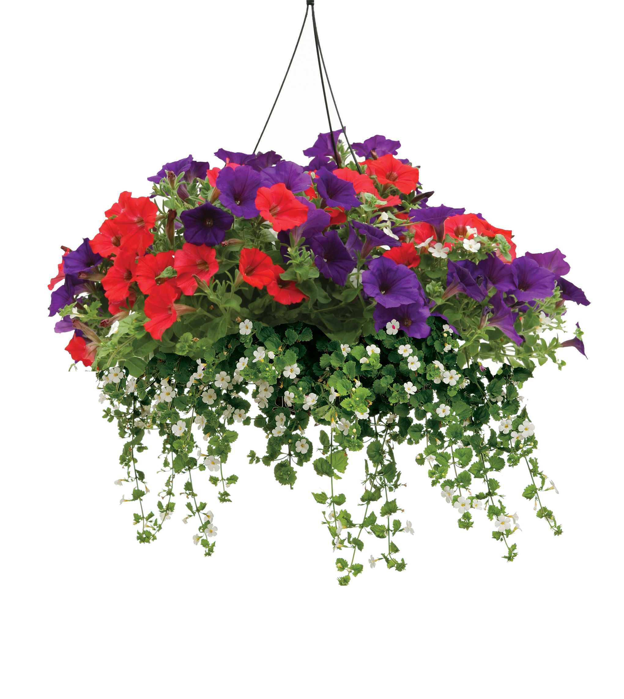 wrought iron indoor plant stands metal-planter-stand