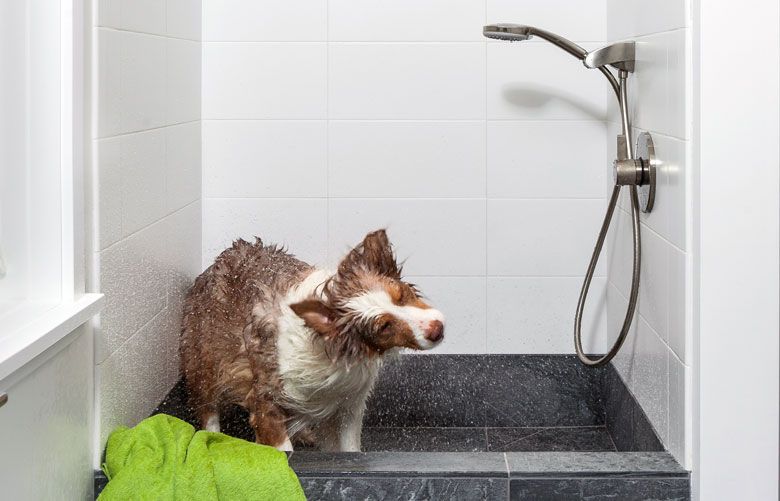 The latest trend in home design Dog showers The Seattle Times