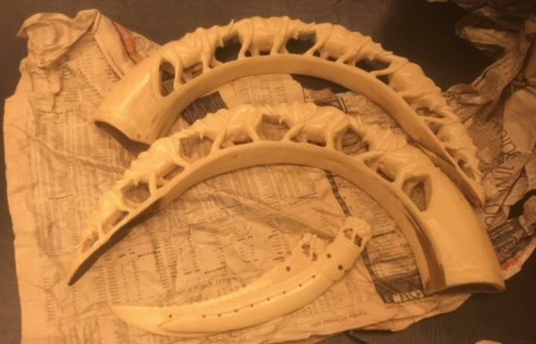 U.S. Customs and Border Protection Agriculture Specialists at Seattle-Tacoma International Airport discovered a variety of prohibited ivory products in the luggage of a husband and wife who arrived on a flight from the Philippines on May 11.