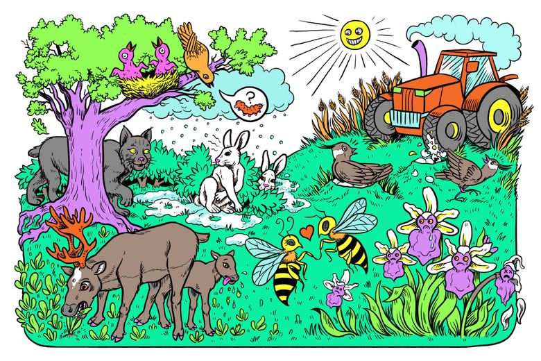 5 plants and animals utterly confused by climate change | The Seattle Times 5 plants and animals utterly confused by climate change | The Seattle Times