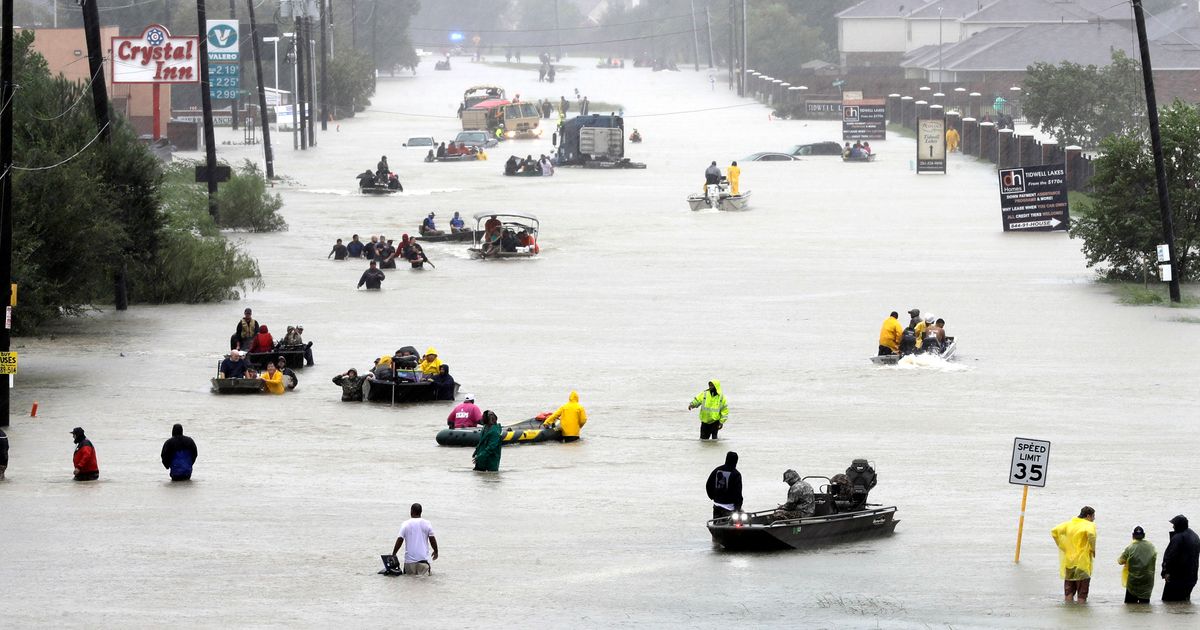 US provides $277M for hurricane-damaged public transit | The Seattle Times