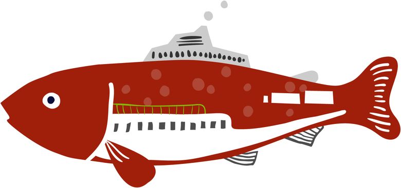 watchdog clipart fish