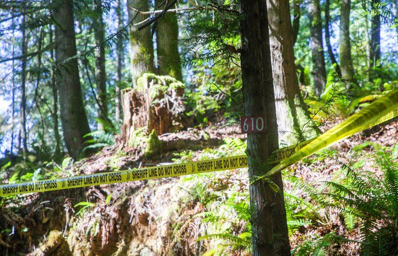 5 family members die in explosion of their getaway cabin near Hood ...