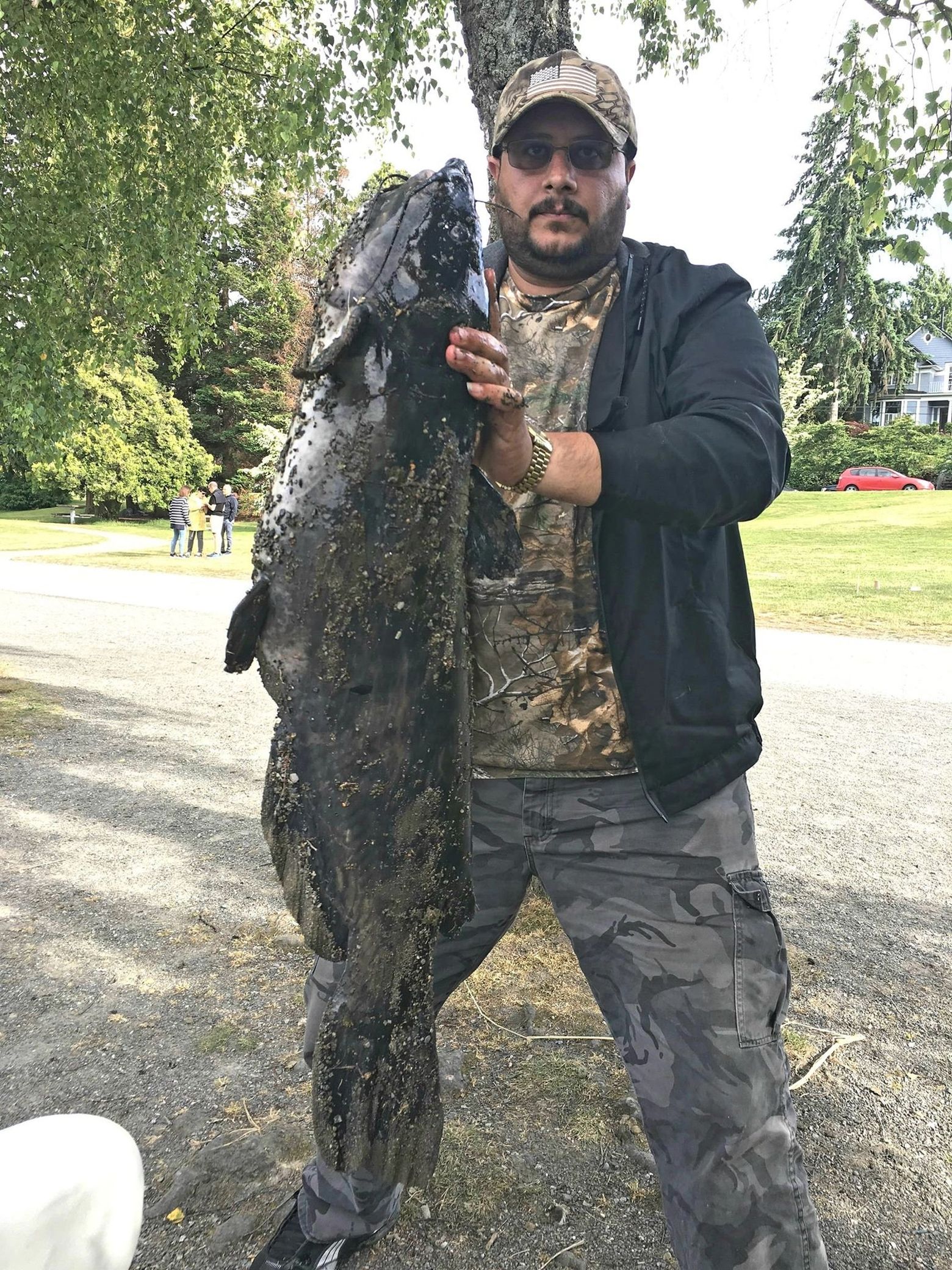 Oh my god': Giant 45-pound catfish caught in Green Lake