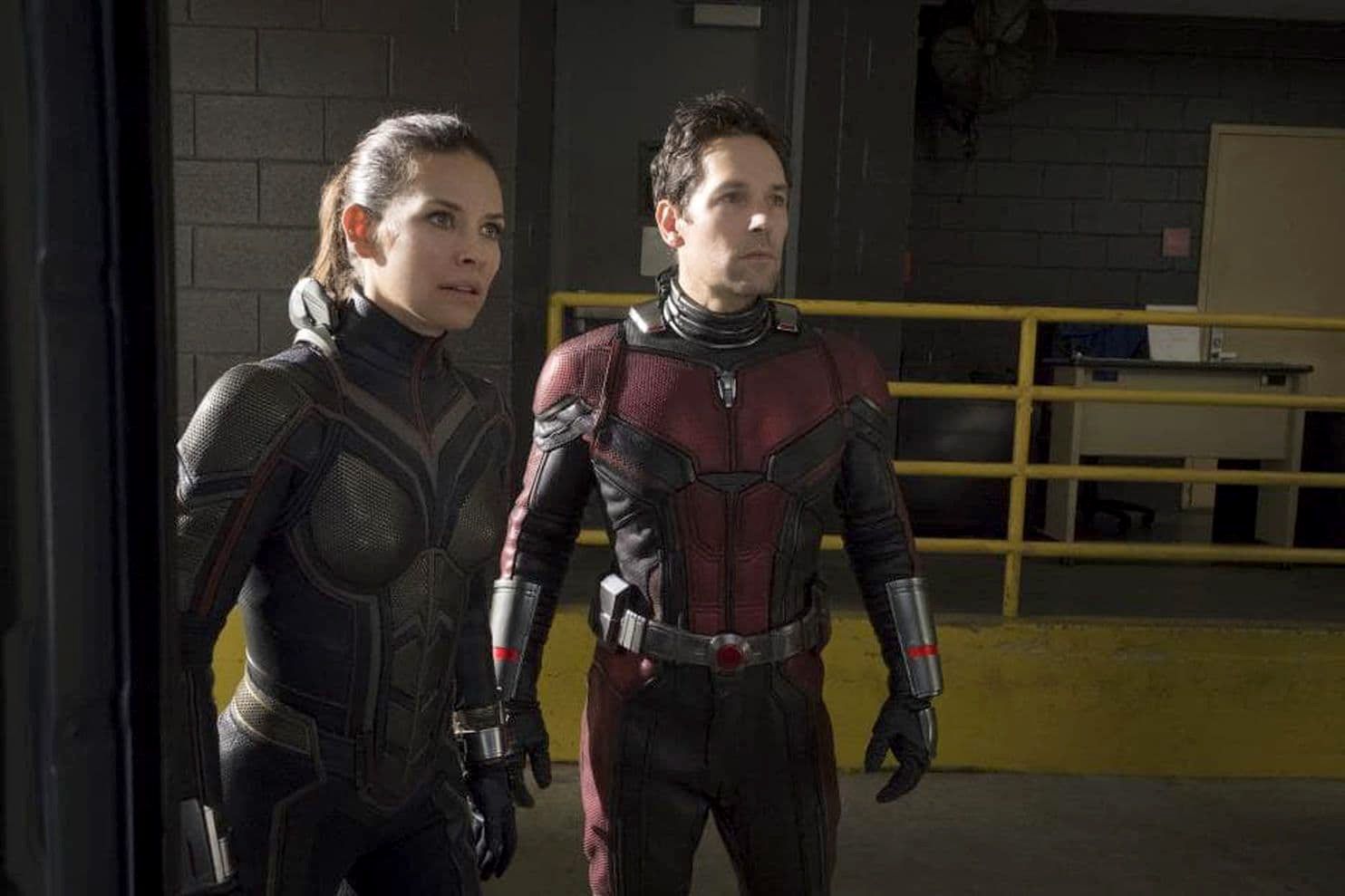 Ant man and on sale the wasp stream