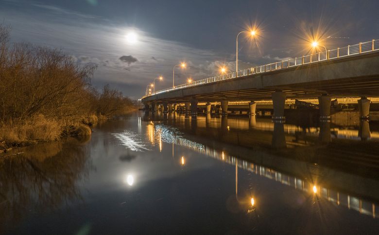 The moon rises at night over the new Highway 520 floating bridge and trail. That’s Marsh Island on the left, and the wake from a passing muskrat. The old bridge can be seen underneath the new bridge. (Tom Reese)