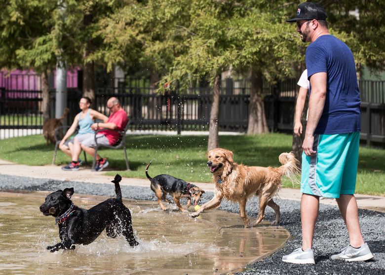 Facilities • Coomer Park