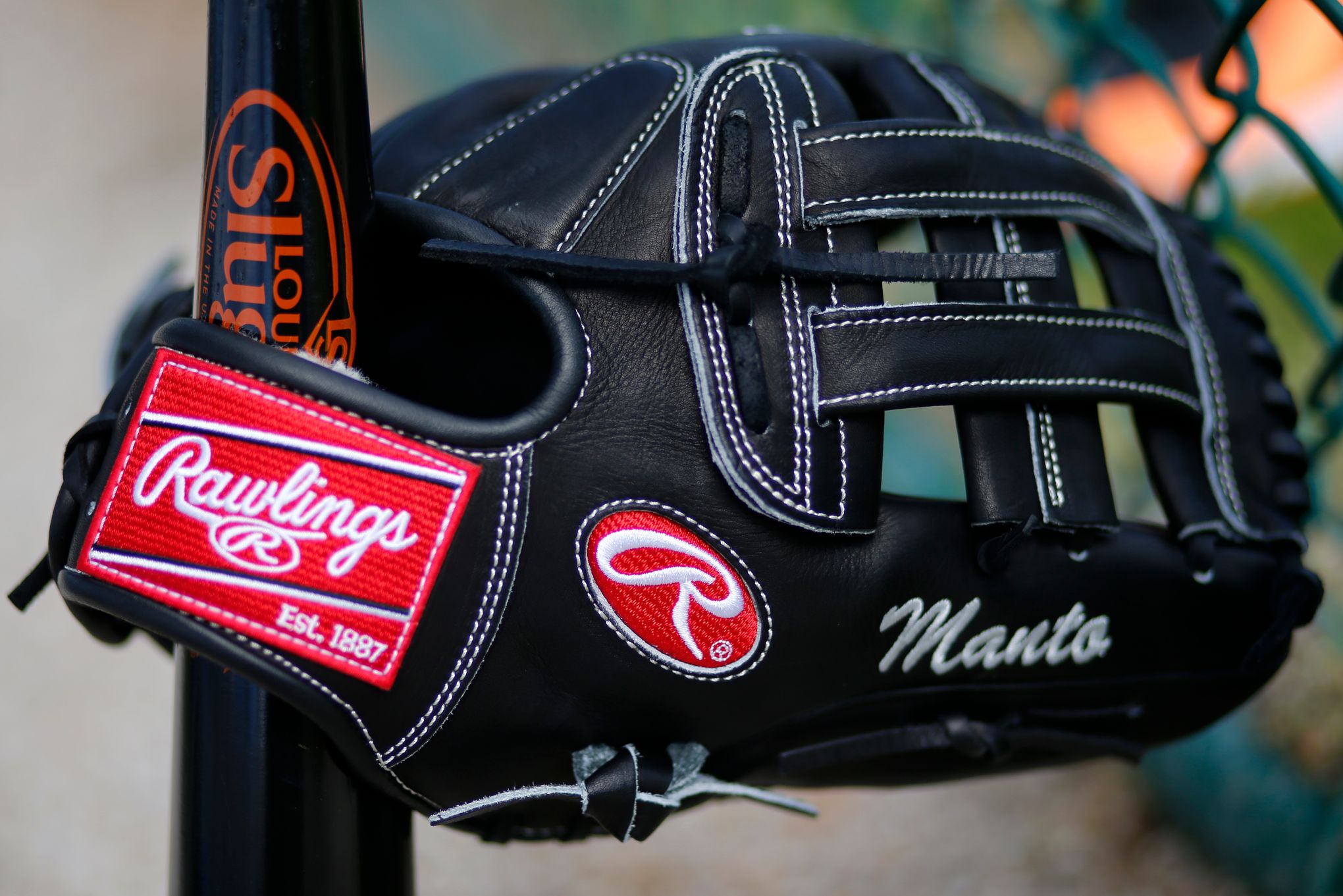 Rawlings Giancarlo Stanton Custom Glove