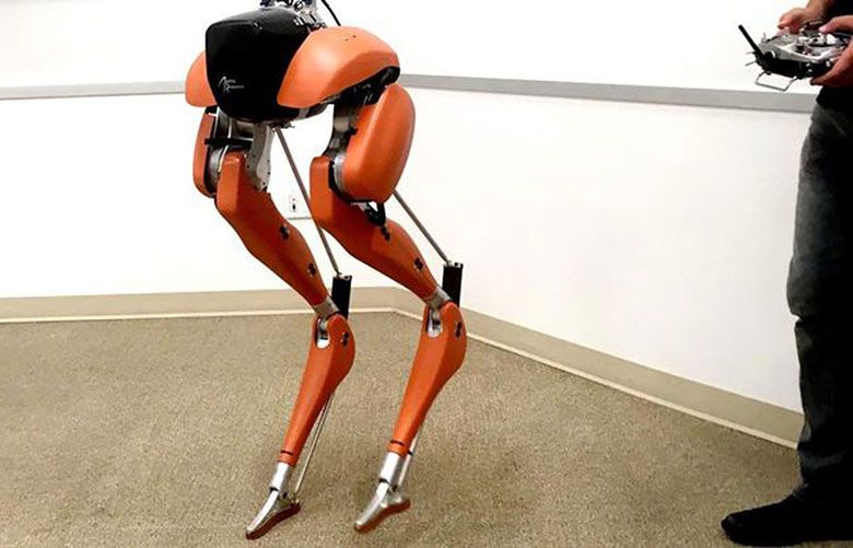 Agility Robotics biped robot Cassie. It is backed by the  Sony Innovation Fund.