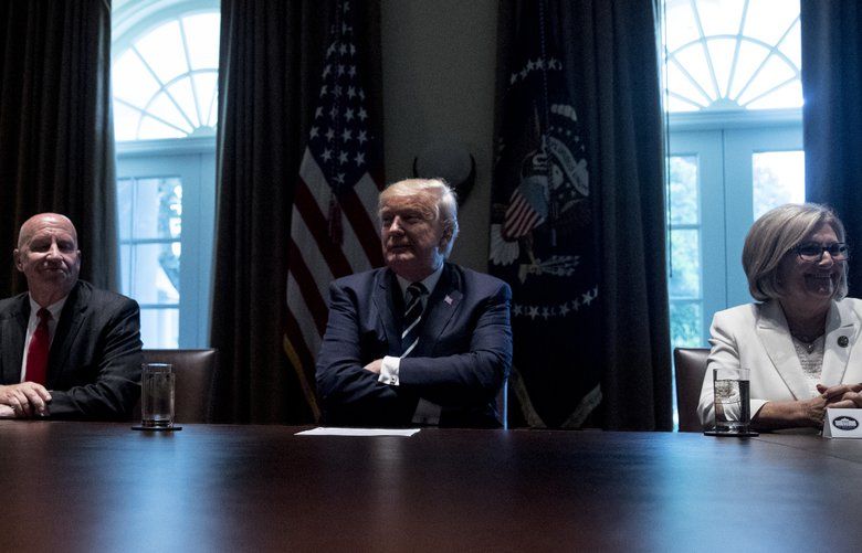 Lights go out during Trump statement at the White House | The Seattle Times