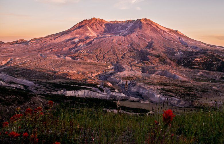 Flowers In St Helens Oregon Best Flower Site