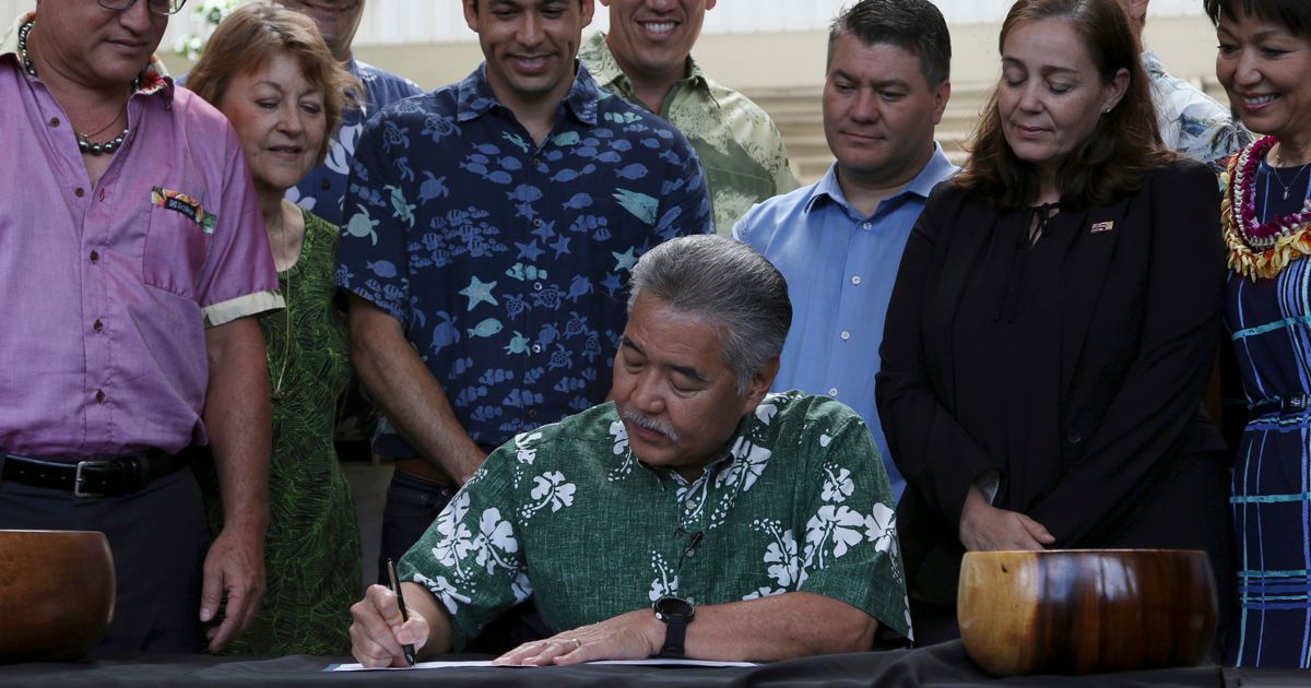 Hawaii bans sale of sunscreens with coralharming chemicals The