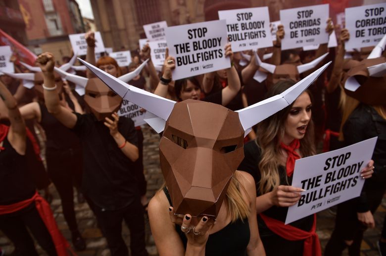 Feminists, animal rights groups reshape Pamplona bull fest | The Seattle Times Feminists, animal rights groups reshape Pamplona bull fest | The Seattle Times