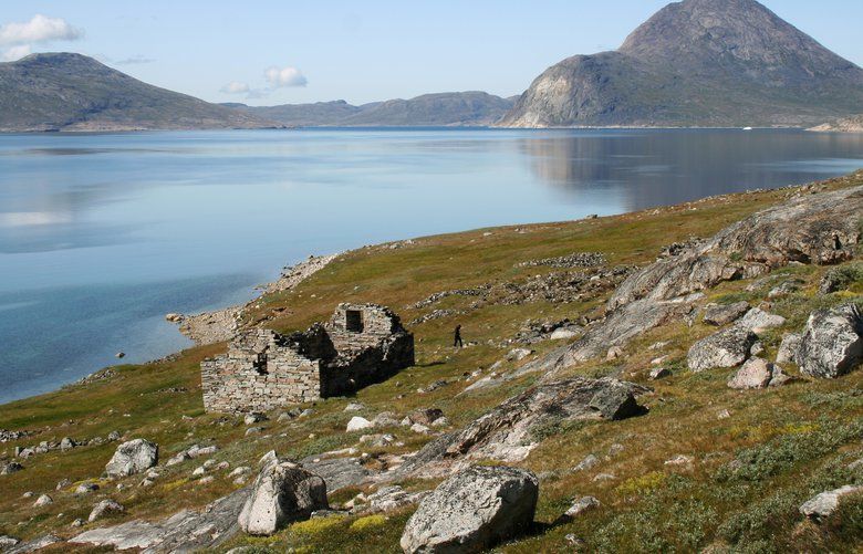 Walrus Bones Provide Clues To Fate Of Lost Viking Colony 