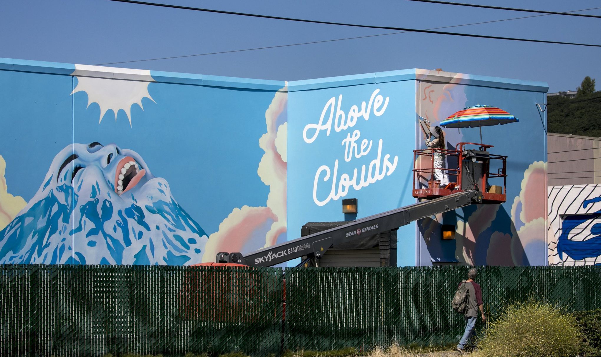 Sell-out Crowd At Mile High Stadium Wall Mural - Murals Your Way