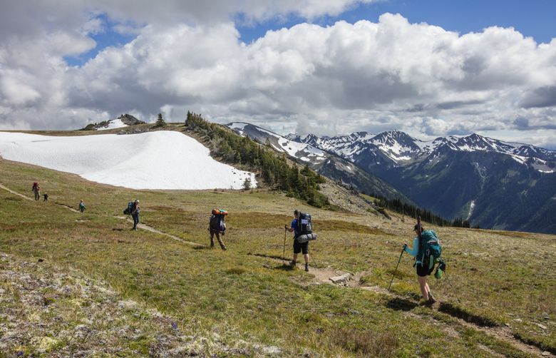 “Just like any sport there is inherent risk to hiking, but there’s definitely things you can do to mitigate those risks,” says Kindra Ramos, director of communications at the Washington Trails Association (WTA). Ramos’ words are worth considering if, like the hikers pictured above in Olympic National Park, you’re drawn to outdoor adventures. (Steve Ringman / The Seattle Times)
