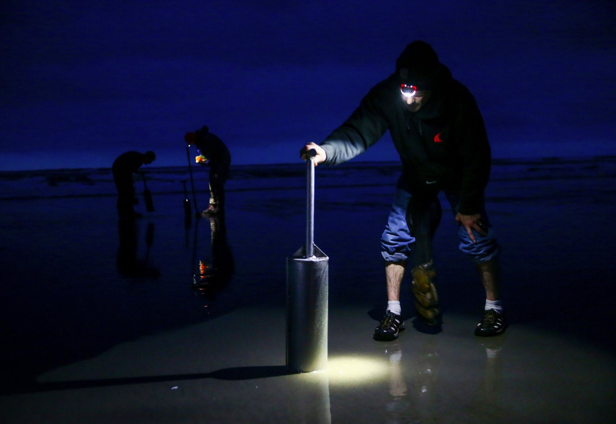 How To Dig Razor Clams: The Ultimate Guide To The Pacific's Tastiest Clam -  The Wild Provides