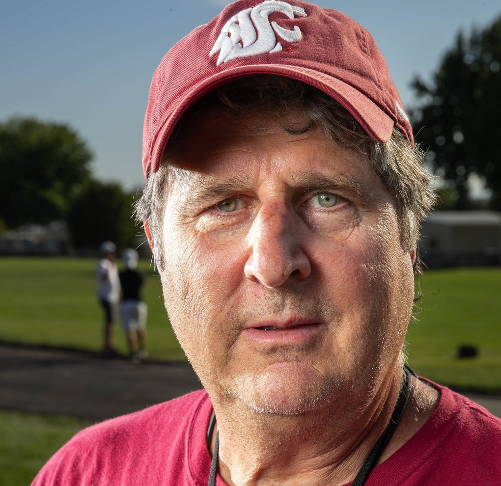 Mike Leach. (Dean Rutz / The Seattle Times)