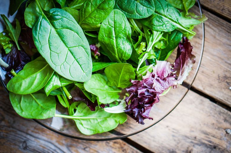 Arugula Salads And Sprouts, varieties, production, seasonality