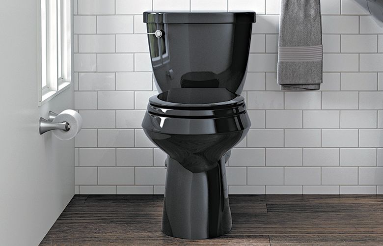 The black toilet: An unconventional bathroom accessory that's back