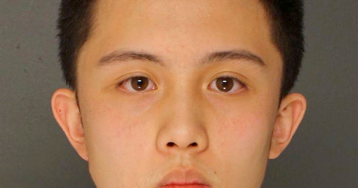 Exchange student pleads guilty to firearm charge for threat | The ...