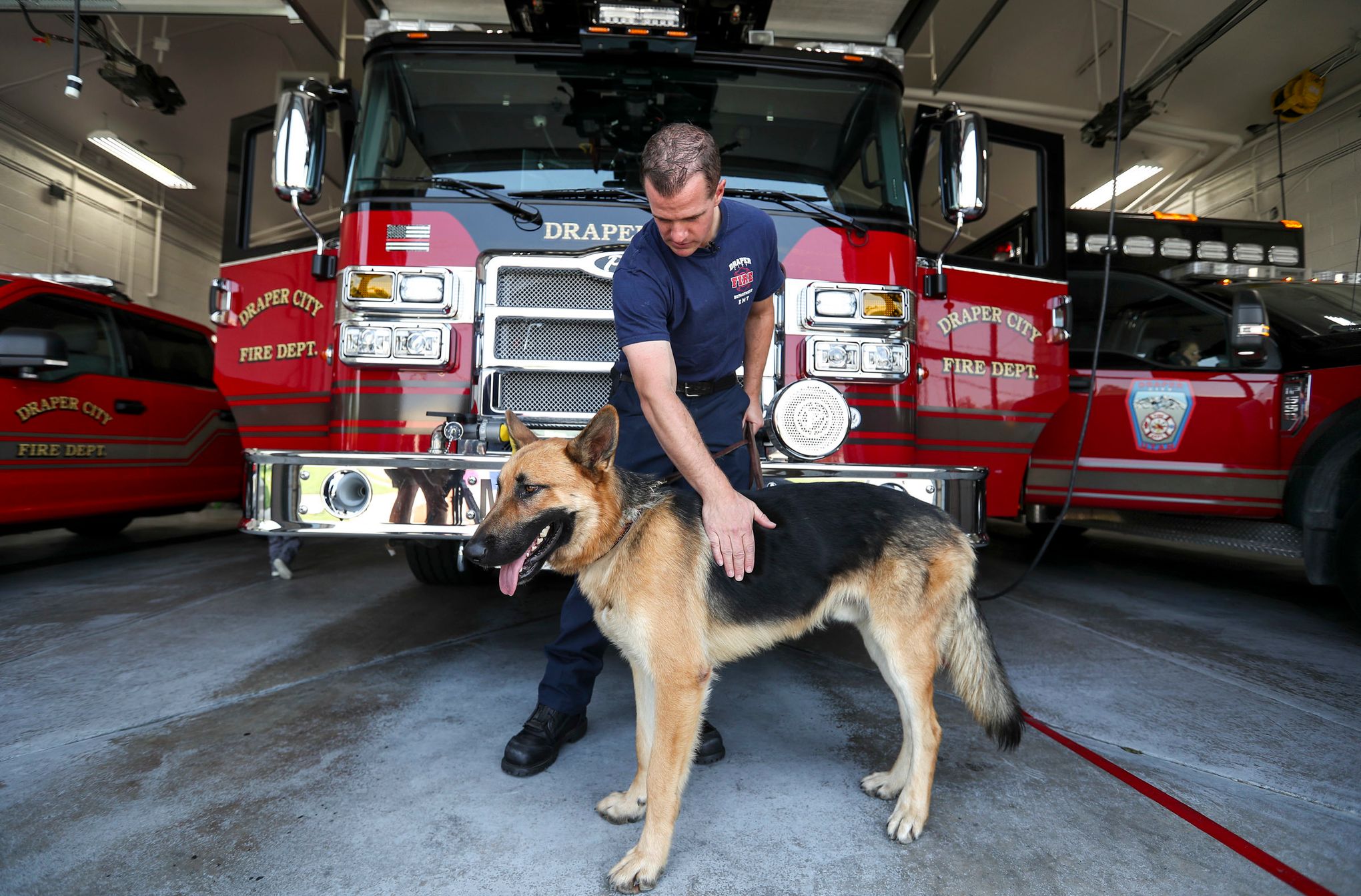 https://images.seattletimes.com/wp-content/uploads/2018/08/urn-publicid-ap-org-fd4a0133dc8a4f17b7f3b407d2de418bWestern_Wildfires_Adopted_Dog_02544.jpg?d=2040x1343
