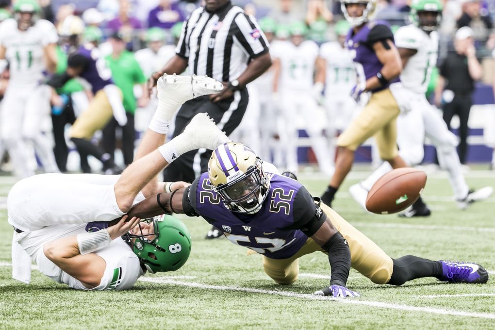 Huskies linebacker Ariel Ngata forces Fighting Hawks quarterback Nate Ketteringham to fumble, recovered by Huskies defensive back Taylor Rapp in the first quarter as the University of Washington Huskies take on the North Dakota Fighting Hawks for their home opener at Husky Stadium in Seattle Saturday September 8, 2018. (Bettina Hansen / The Seattle Times)