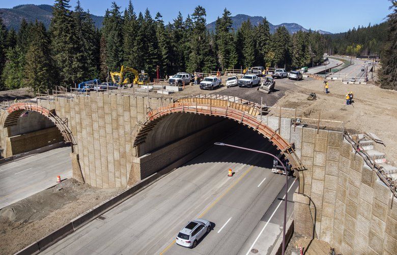 ‘it’s A Long Time Coming’ 6 2 Million Wildlife Bridge Over I 90 Nears Completion The Seattle