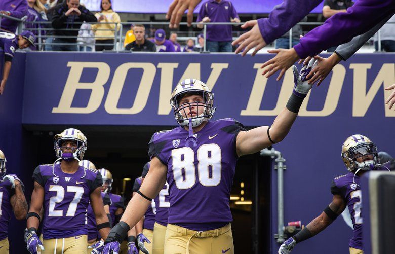 Washington TE Drew Sample Taken 52nd Overall by Cincinnati Bengals - UW  Dawg Pound