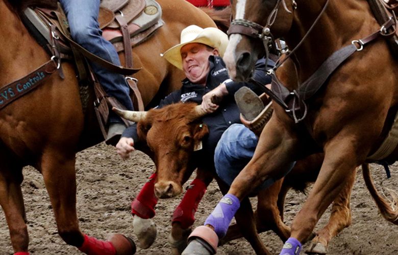 A wild ride at the Washington State Fair Rodeo The Seattle Times