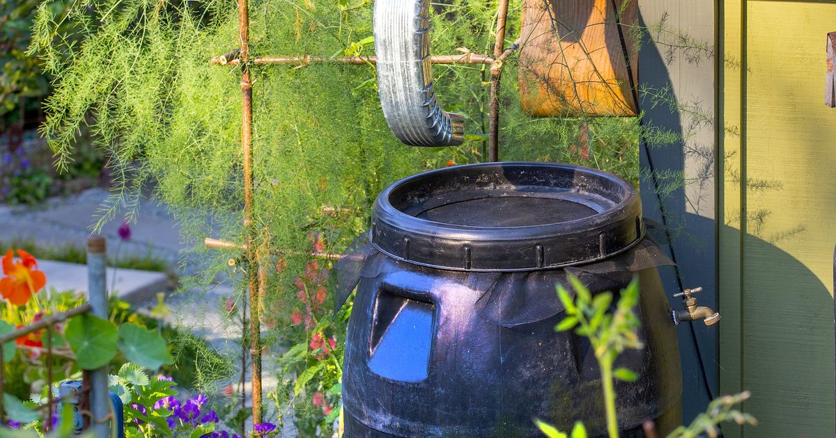Catch-and-release rainwater harvesting relieves your overflowing ...