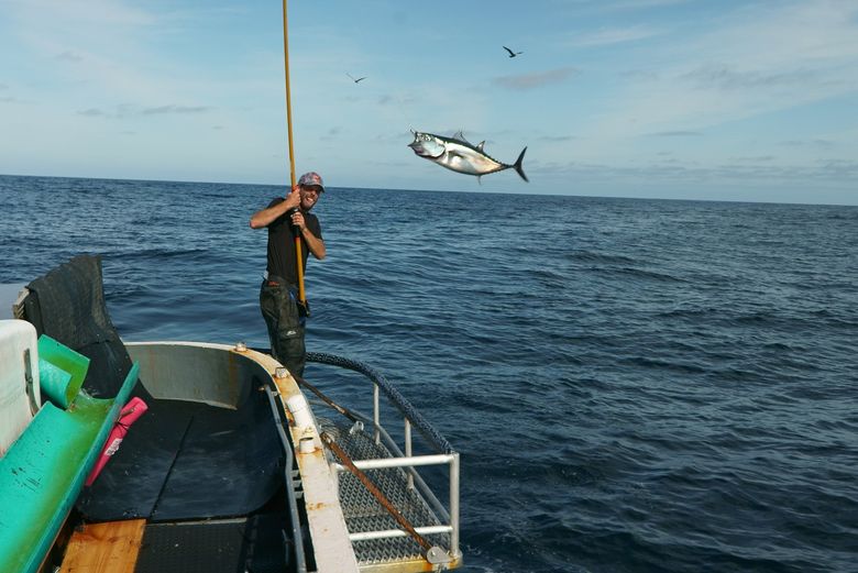 Netflix's 'Battlefish' follows the adventures of tuna fishing boats off the  Washington-Oregon border