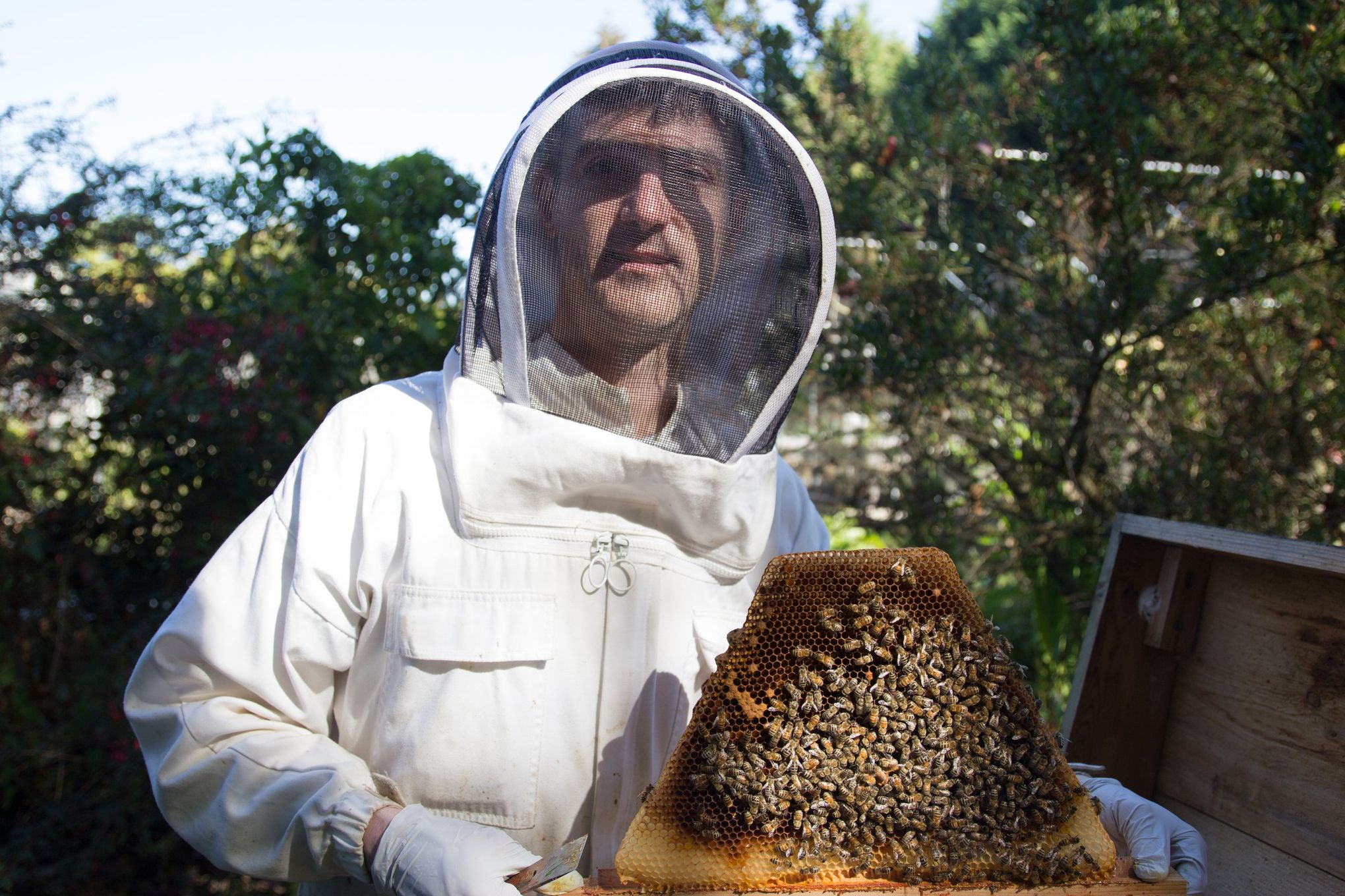 beekeeper-studio/ at master · beekeeper-studio/beekeeper-studio