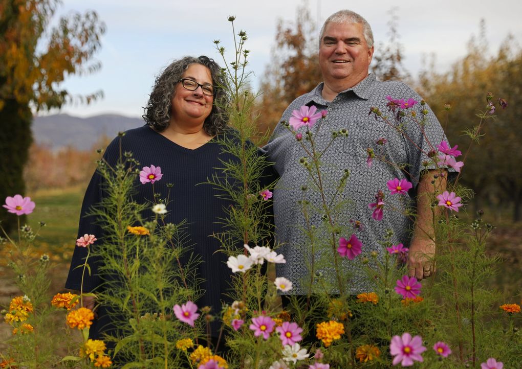 Peter Van Well, whose nursery grows fruit trees, says he balances out his wife, Carmen, politically. (Ken Lambert / The Seattle Times)
