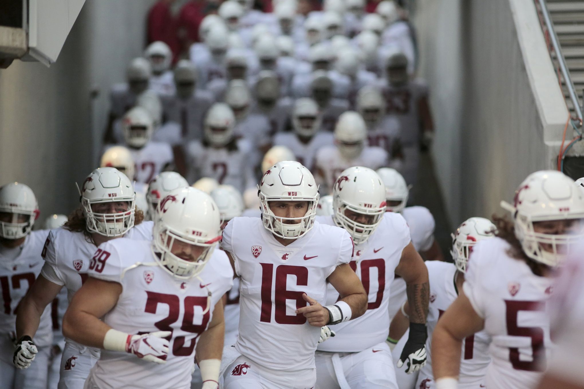 WSU will see pink against Oregon Ducks - Seattle Sports