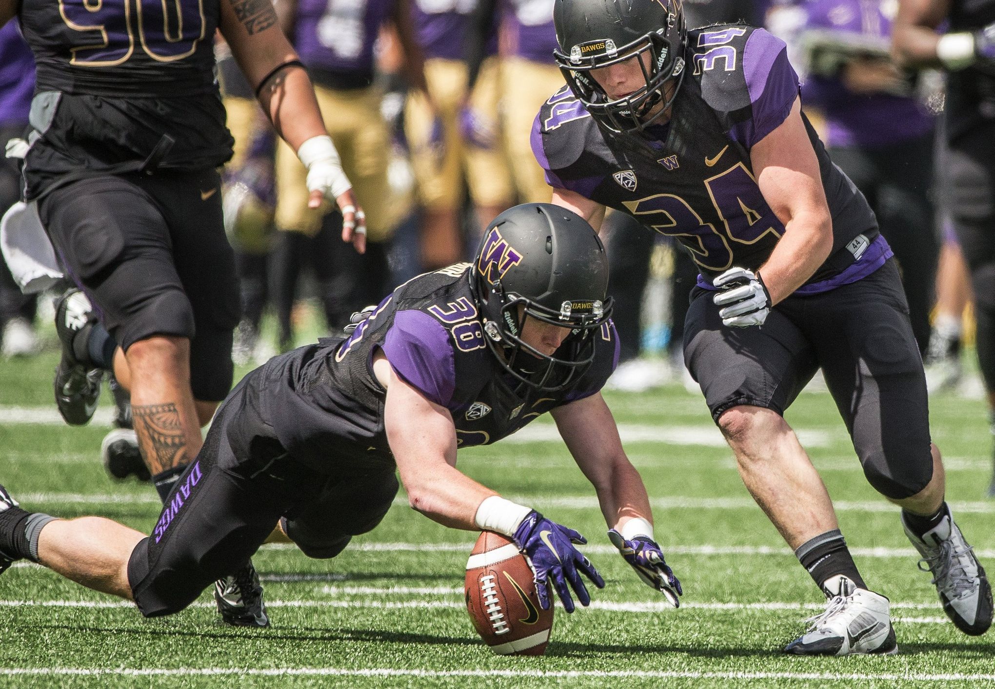 PAC in Time for Washington Football: Cal, The Bear Necessaties - UW Dawg  Pound