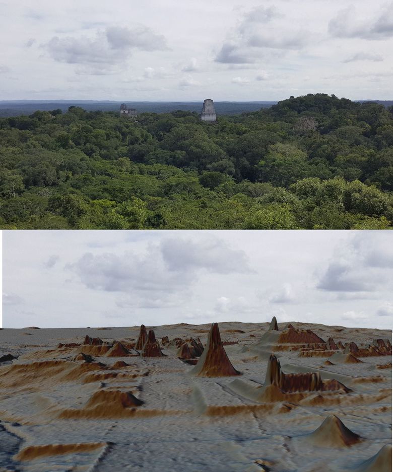 mayan terrace farming