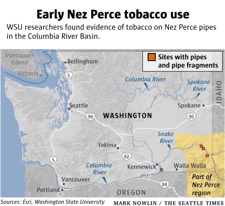 northwest tobacco What a new WSU study tells us about the earliest days of smoking tobacco in  the Northwest