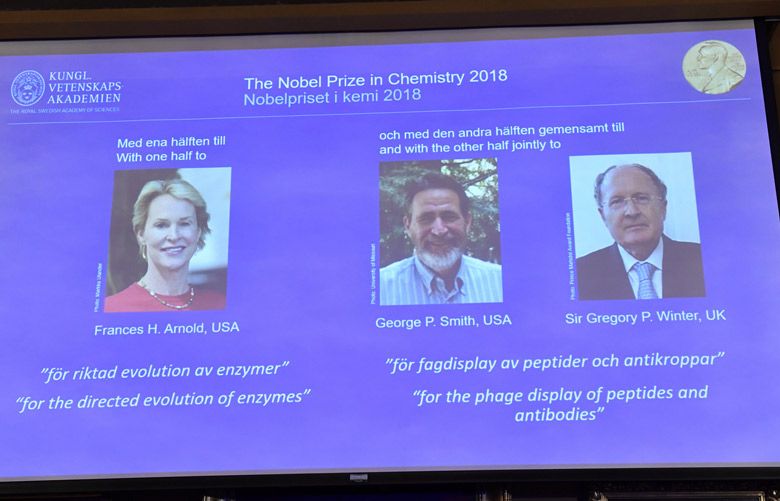 Chemistry Nobel for using evolution to create new proteins The