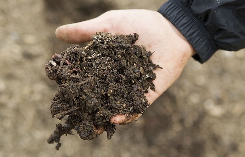 5 ways to winterize your vegetable garden The Seattle Times